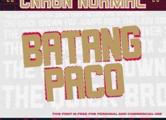 CNRGN Normal Font preview image 3