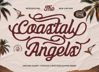 Coastal Angels Script Typeface preview image 1