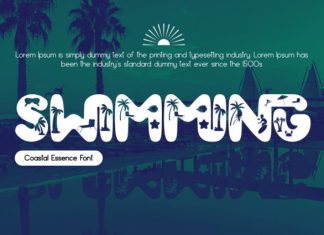 Coastal Essence Font preview image 3