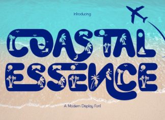 Coastal Essence Font preview image 1