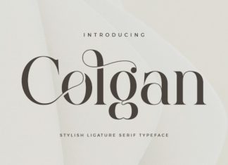 Colgan Font preview image 1