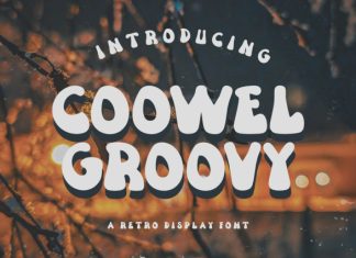 Coowel Font preview image 1