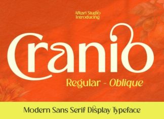 Cranio Font preview image 1