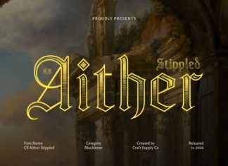 CS Aither Stippled Font preview image 1