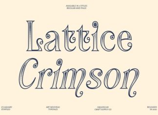 CS Aquary Stippled Font preview image 3