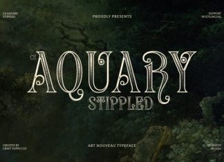 CS Aquary Stippled Font preview image 1