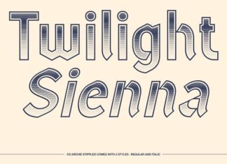 CS Archie Stippled Font preview image 3