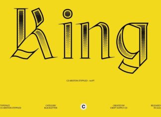 CS Ariston Stippled Font preview image 3