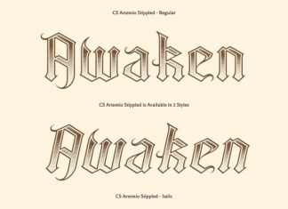 CS Artemio Stippled Font preview image 3