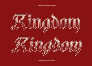 CS Arthemis Stippled Font preview image 2