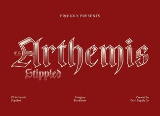 CS Arthemis Stippled Font preview image 1