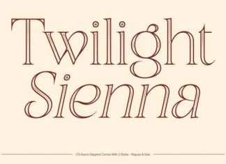 CS Asena Stippled Font preview image 3