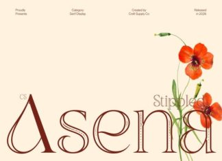 CS Asena Stippled Font preview image 1