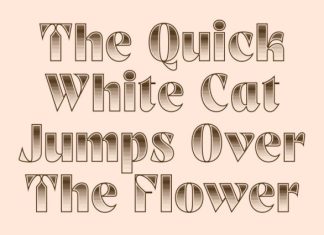 CS Aslan Stippled Font preview image 3