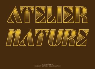 CS Aslan Stippled Font preview image 2