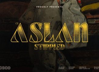 CS Aslan Stippled Font preview image 1