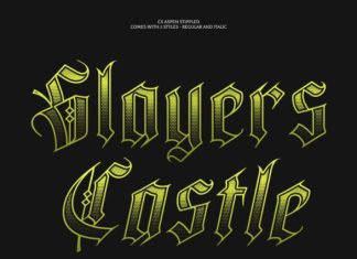 CS Aspen Stippled Font preview image 3