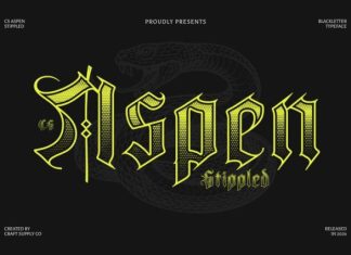 CS Aspen Stippled Font preview image 1