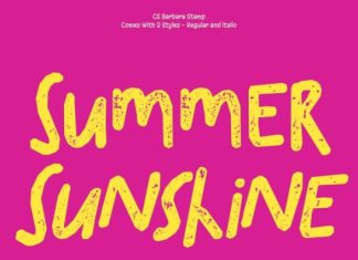 CS Barbara Stamp Font preview image 3