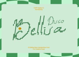 CS Bellisa Disco Font preview image 1