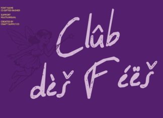 CS Bellisa Stamp Font preview image 2