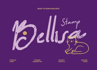 CS Bellisa Stamp Font preview image 1