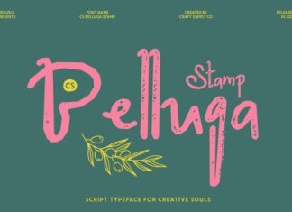 CS Belluga Stamp Font preview image 1