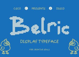 CS Belric Disco Font preview image 1