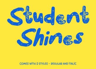 CS Belric Stamp Font preview image 3