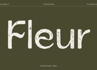CS Bonita Stamp Font preview image 3