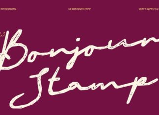CS Bonjour Stamp Font preview image 1