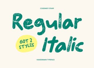 CS Bonkey Stamp Font preview image 2