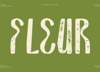 CS Borden Stamp Font preview image 3