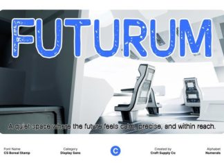 CS Boreal Stamp Font preview image 2