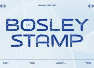 CS Bosley Stamp Font preview image 1