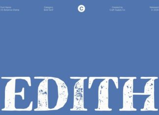 CS Botanica Stamp Font preview image 3