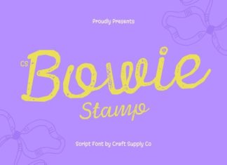 CS Bowie Stamp Font preview image 1