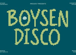 CS Boysen Disco Font preview image 1