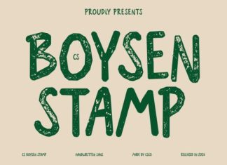 CS Boysen Stamp Font preview image 1