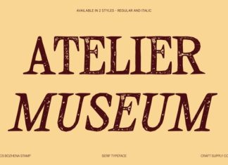 CS Bozhena Stamp Font preview image 2