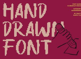 CS Brawley Disco Font preview image 3