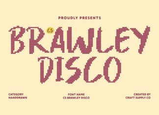 CS Brawley Disco Font preview image 1