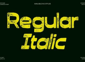 CS Bredius Stamp Font preview image 3