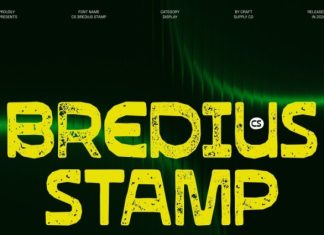 CS Bredius Stamp Font preview image 1