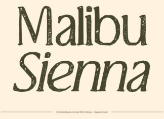 CS Brela Stamp Font preview image 2