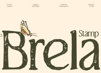 CS Brela Stamp Font preview image 1