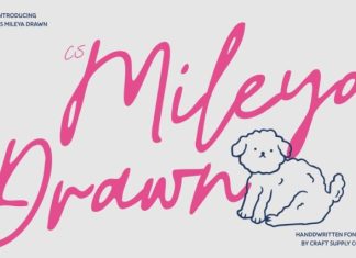 CS Mileya Drawn Font preview image 1