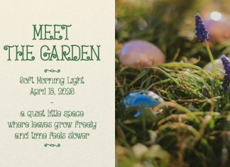Curlicue Garden Font preview image 3