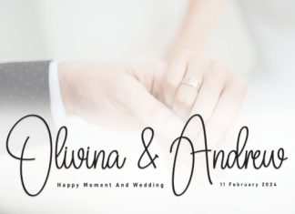 Daddy Signature Handwritten Font preview image 3