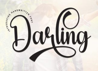 Darling Handwriting Type preview image 1